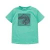 Tom Tailor Mit MotivprintT-Shirt Con StampaLight Fern Green Bambini T-shirt & Top TO224G0XM-M11 -Tom Tailor 279a001472d2407a848e323e32ef5f28