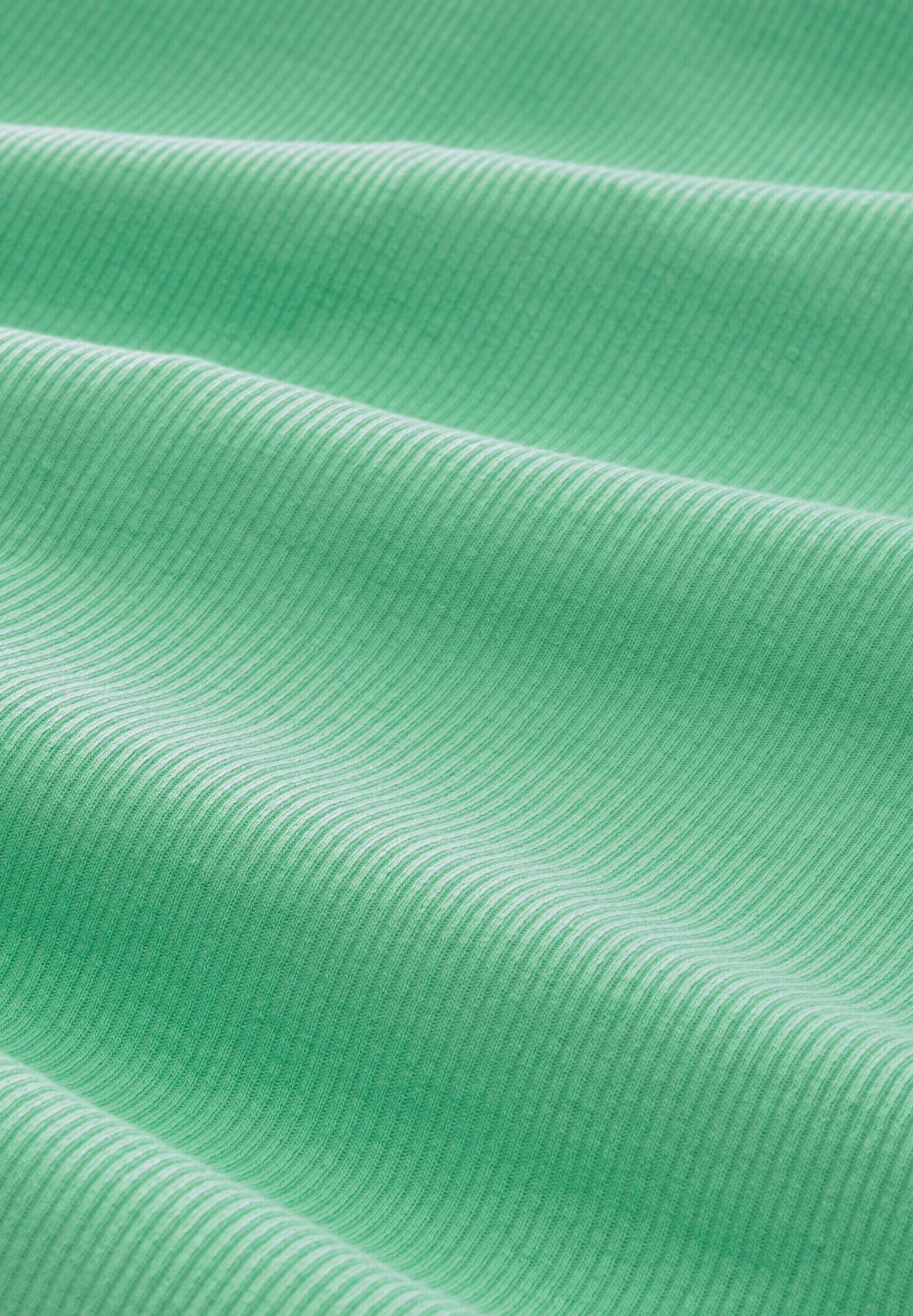 TOM TAILOR Denim Cropped Mit ZiernähtenT-Shirt Con StampaStrong Green Donna T-shirt E Top TO721D12T-M11 8 TOM TAILOR Denim Cropped Mit ZiernähtenT-Shirt Con StampaStrong Green Donna T-shirt E Top TO721D12T-M11 - immagine 6