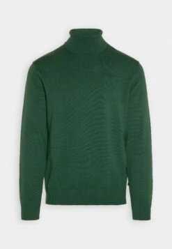 TOM TAILOR Denim MaglioneHunter Green Uomo Maglieria TO722Q0C1-M11 -Tom Tailor d3a92d4537b943adad1ca5b6c38dd653